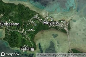 Irikl Mangrove Swamp