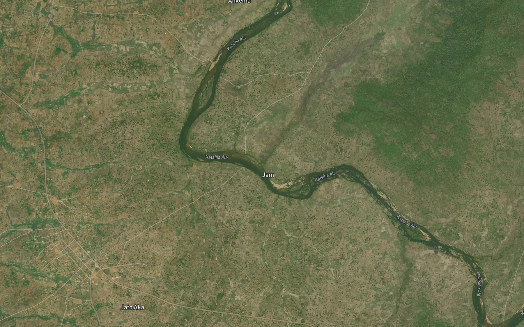 Satellite map of the Apipo