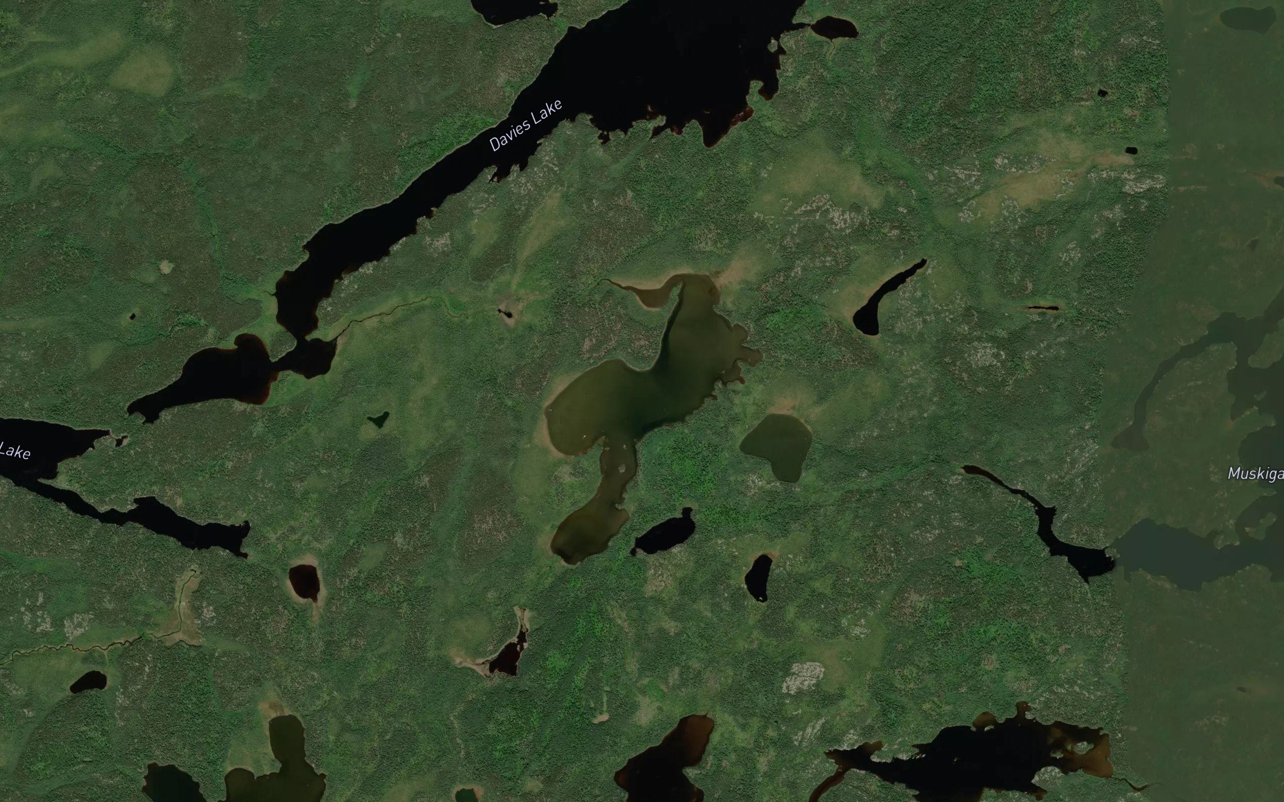 Timon Lake