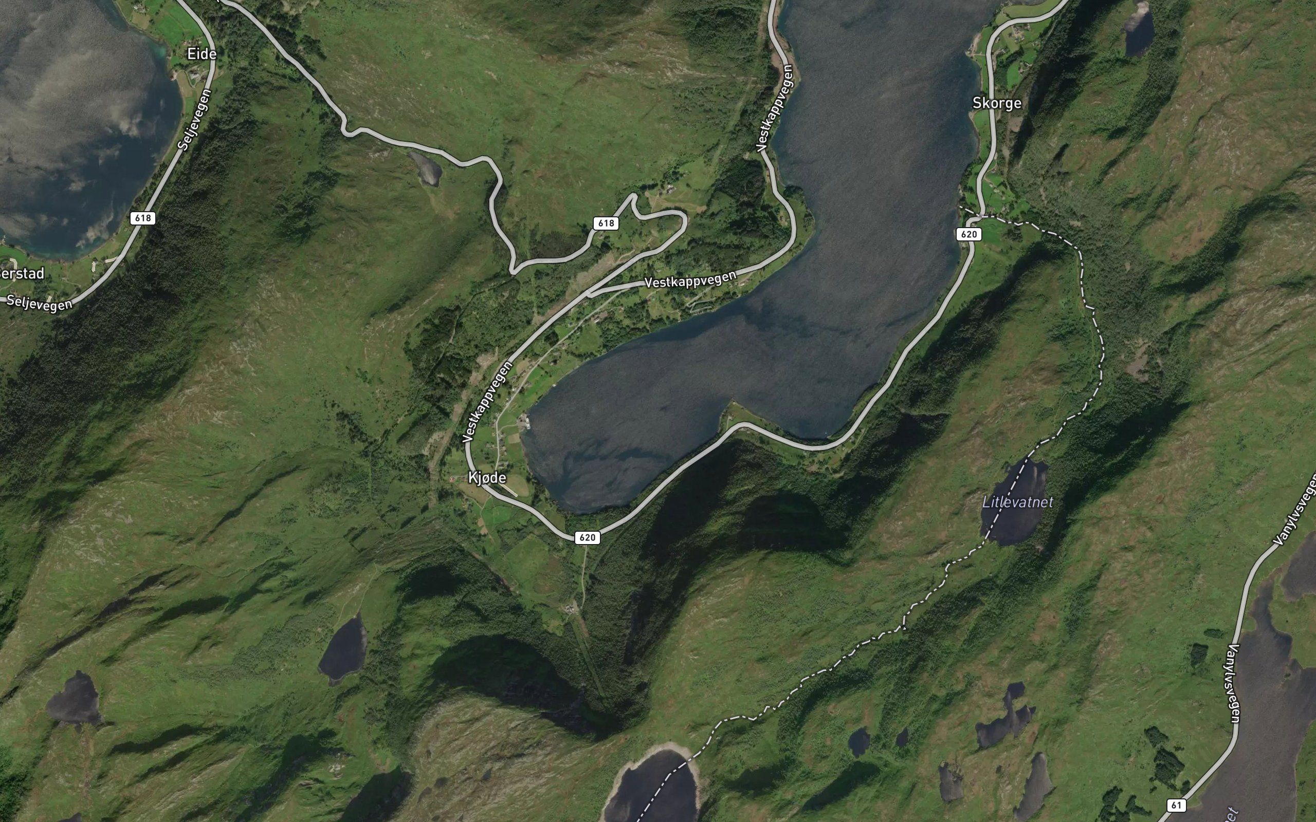 Kjodepollen