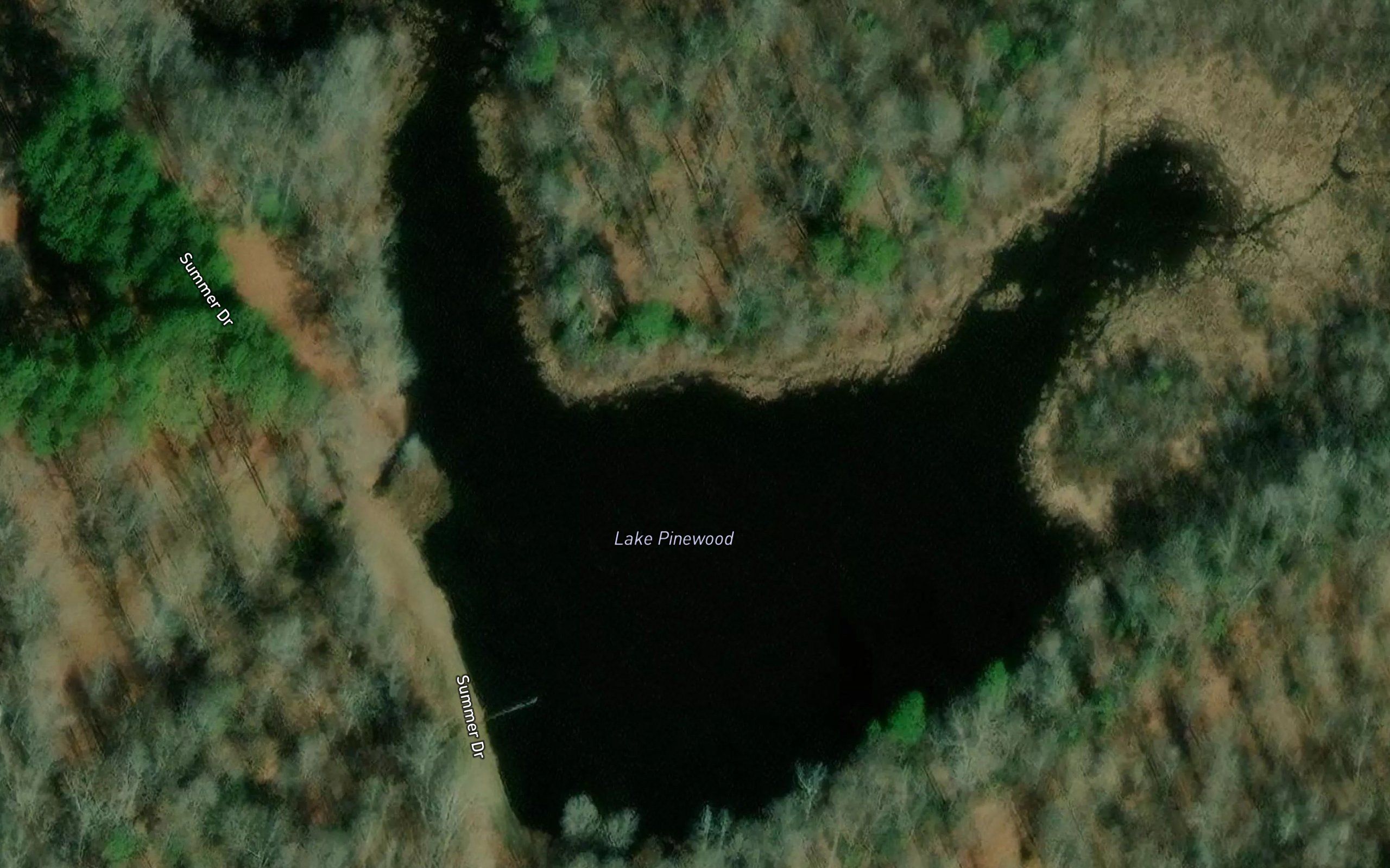 Lake Pinewood
