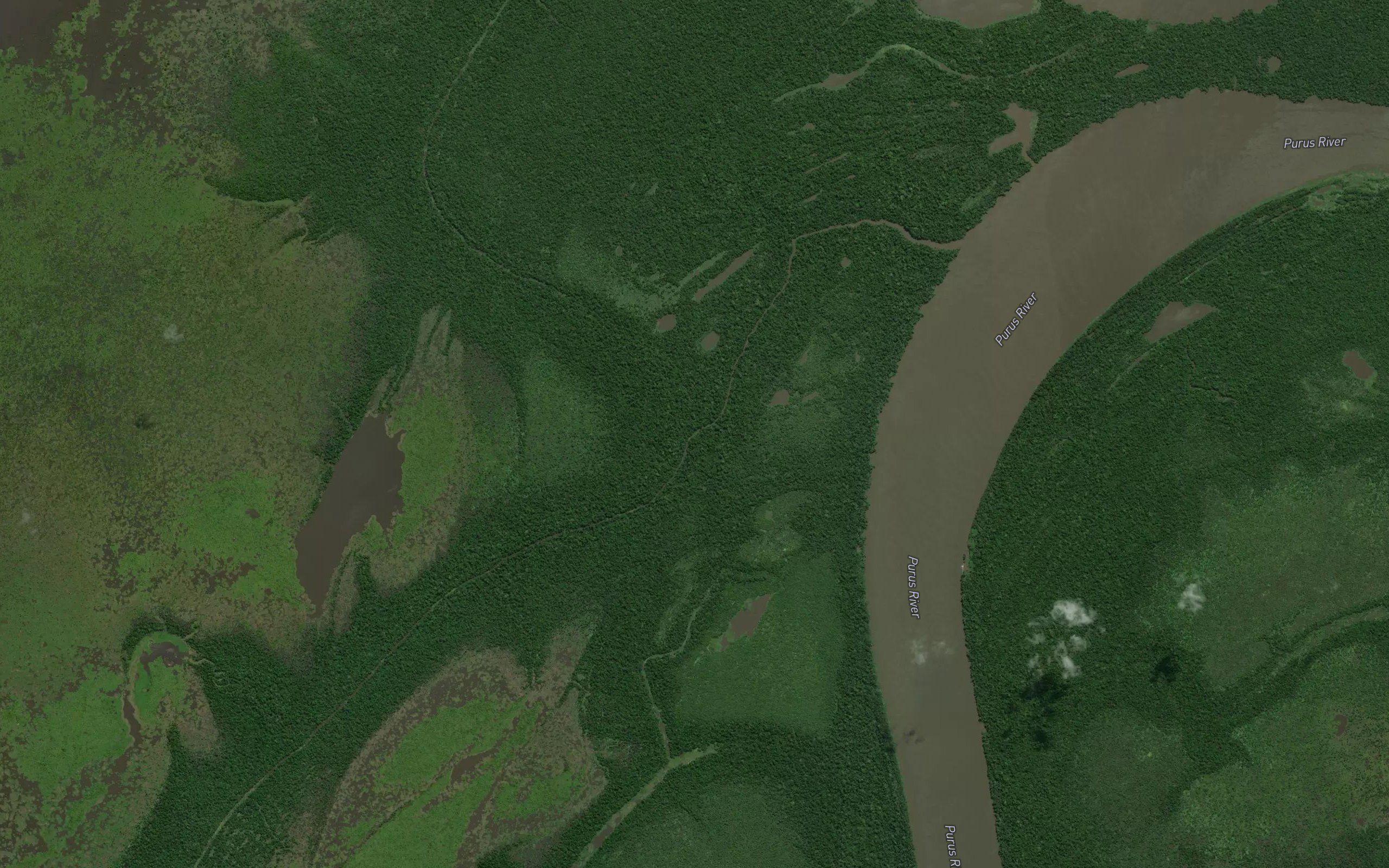 Parana Piraiauara-mirim