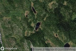 Holebakktjorni