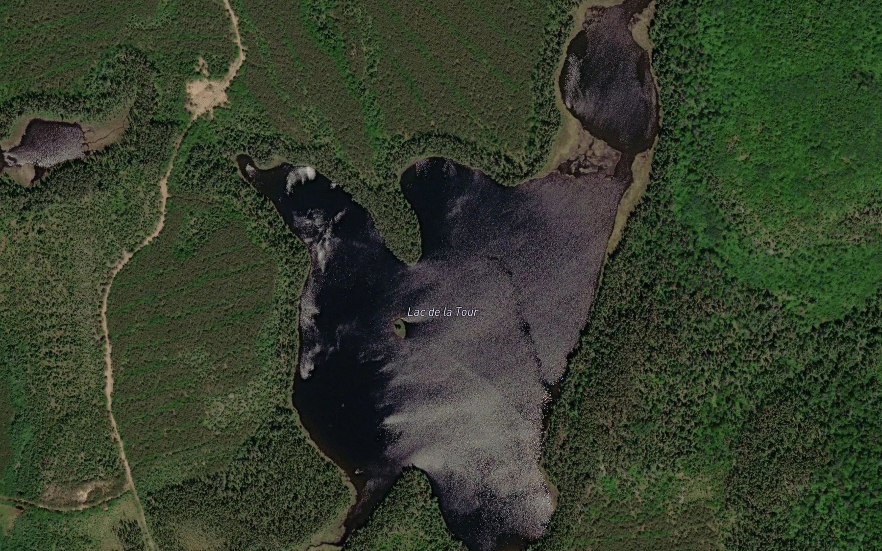 Satellite map of the Lac de la Tour