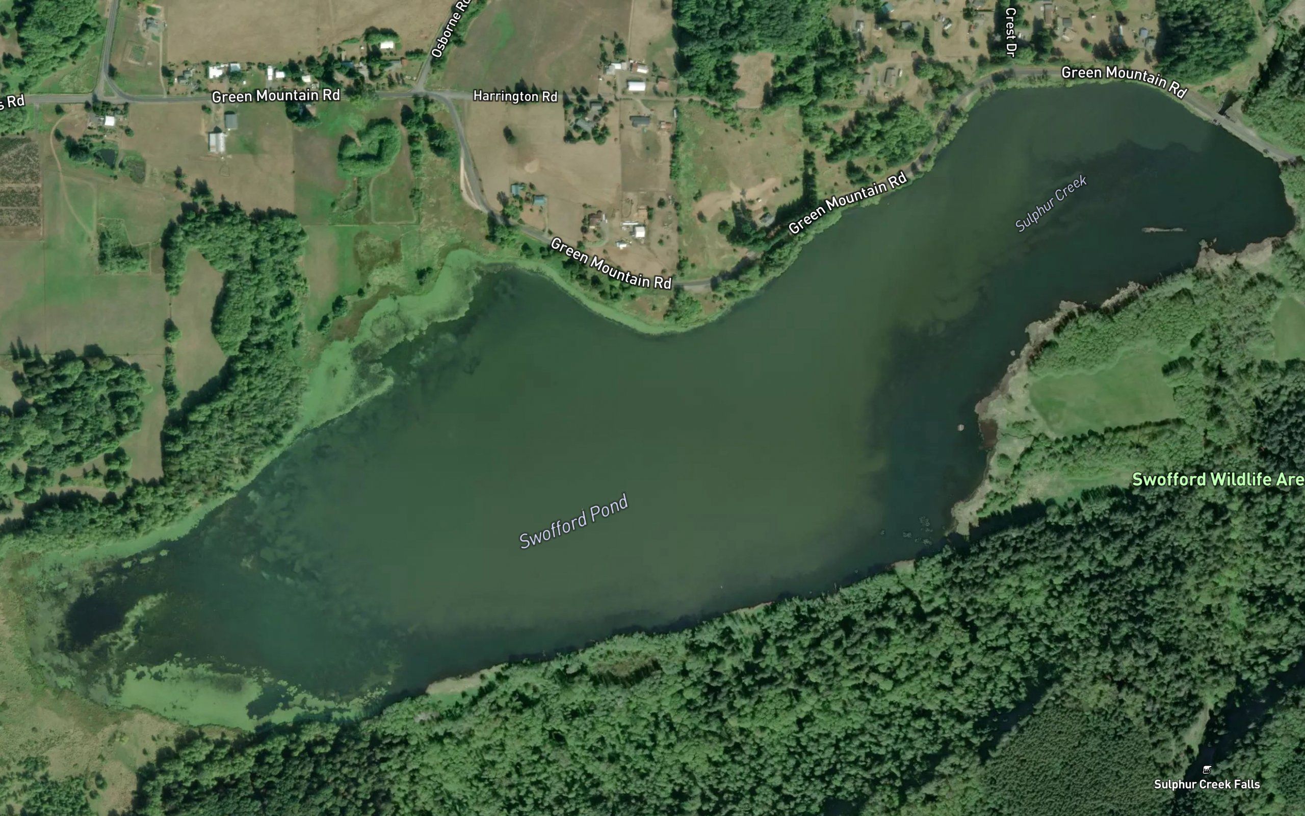 Swofford Pond