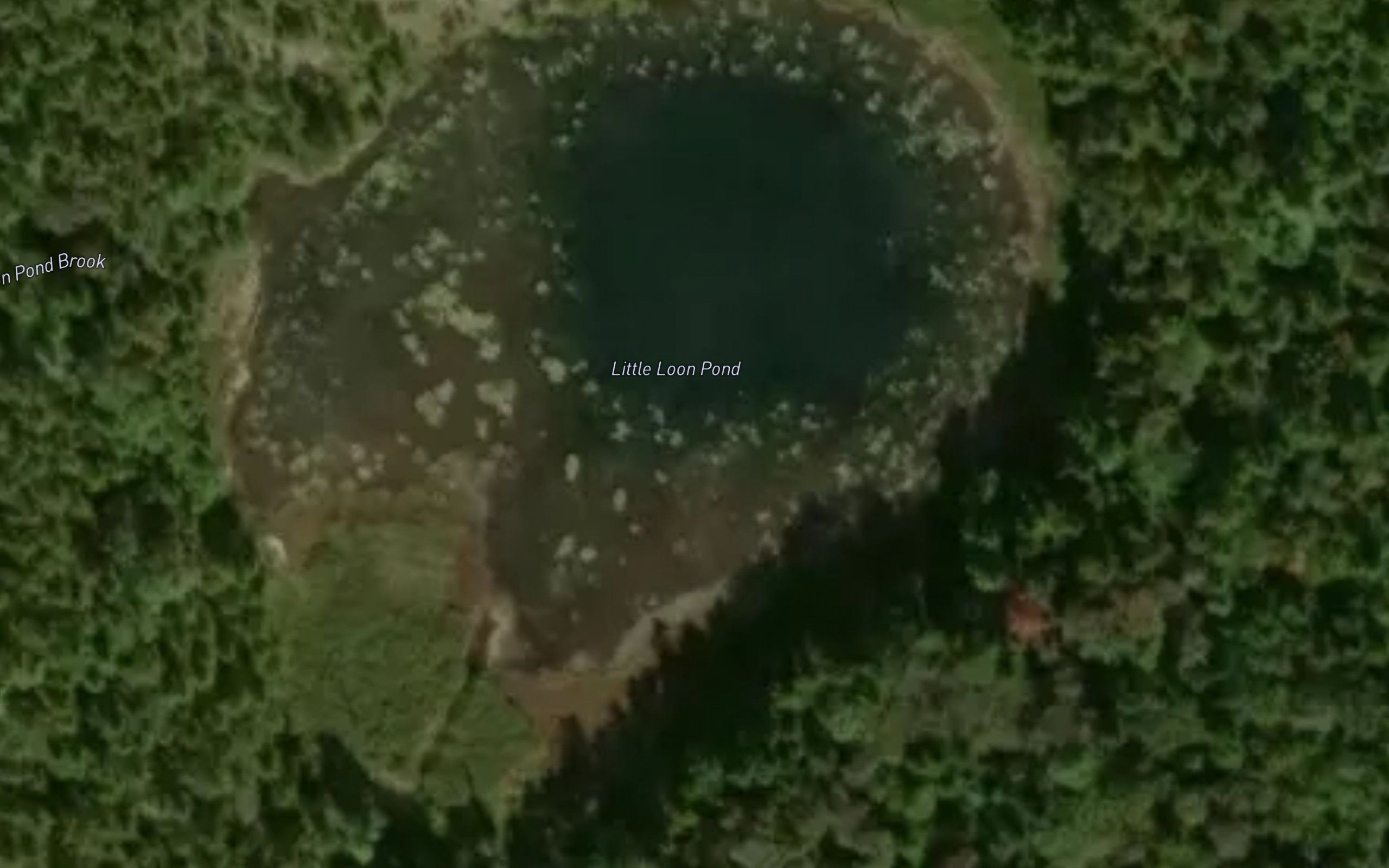 Little Loon Pond