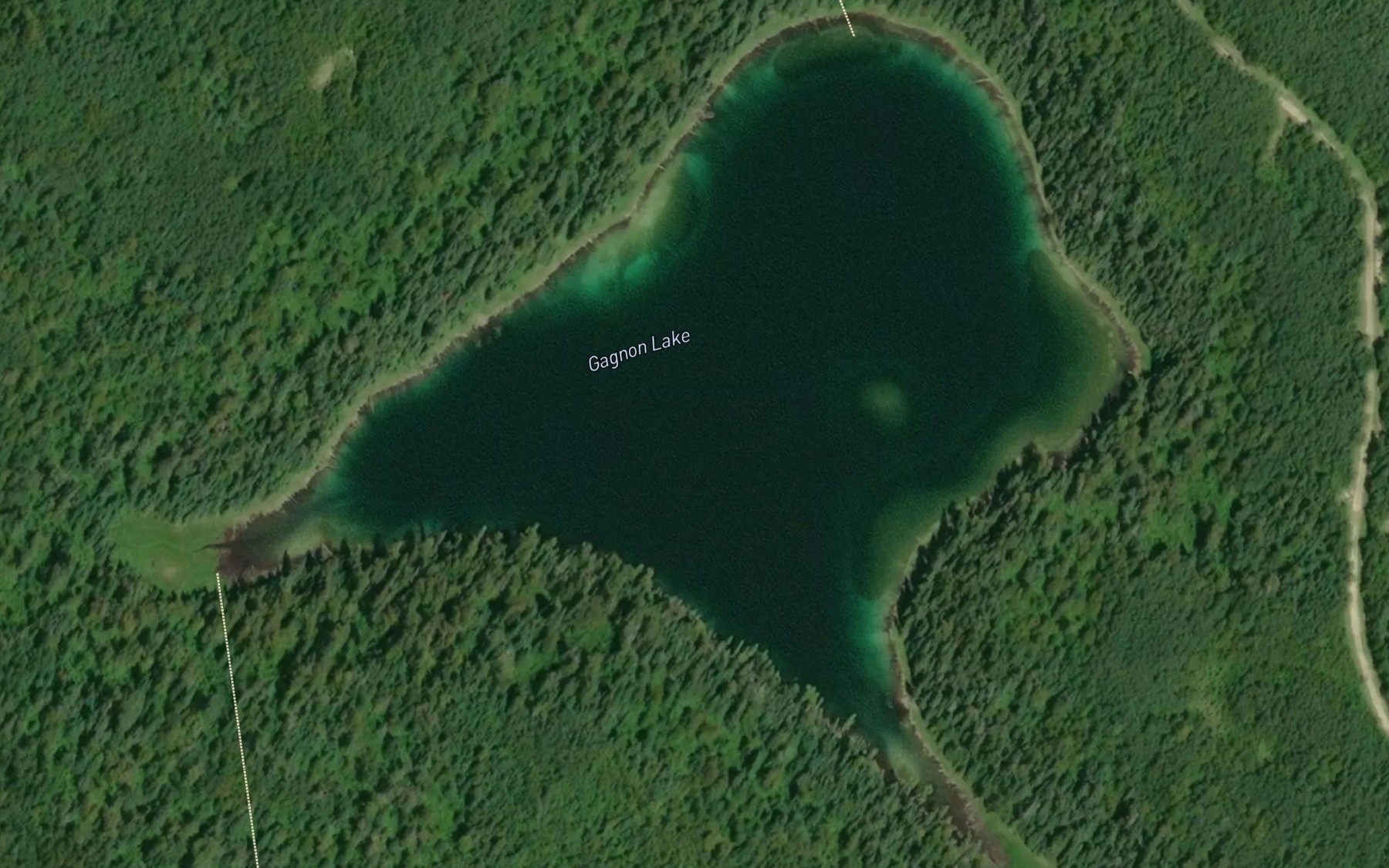 Satellite map of the Gagnon Lake