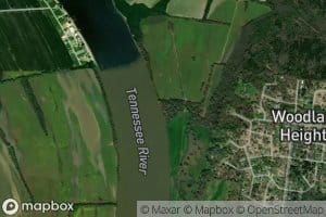 New Town Branch