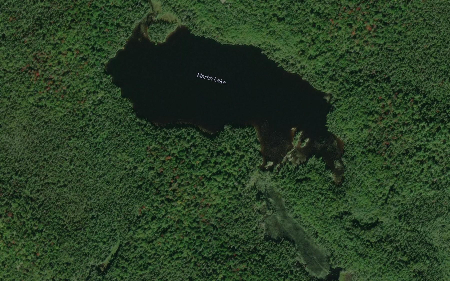 Satellite map of the Martin Lake