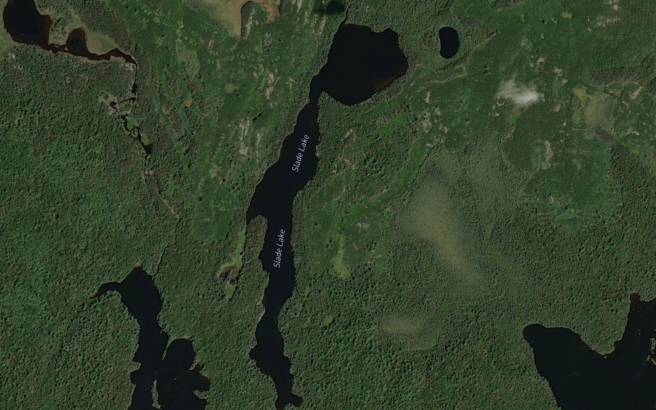 Slade Lake