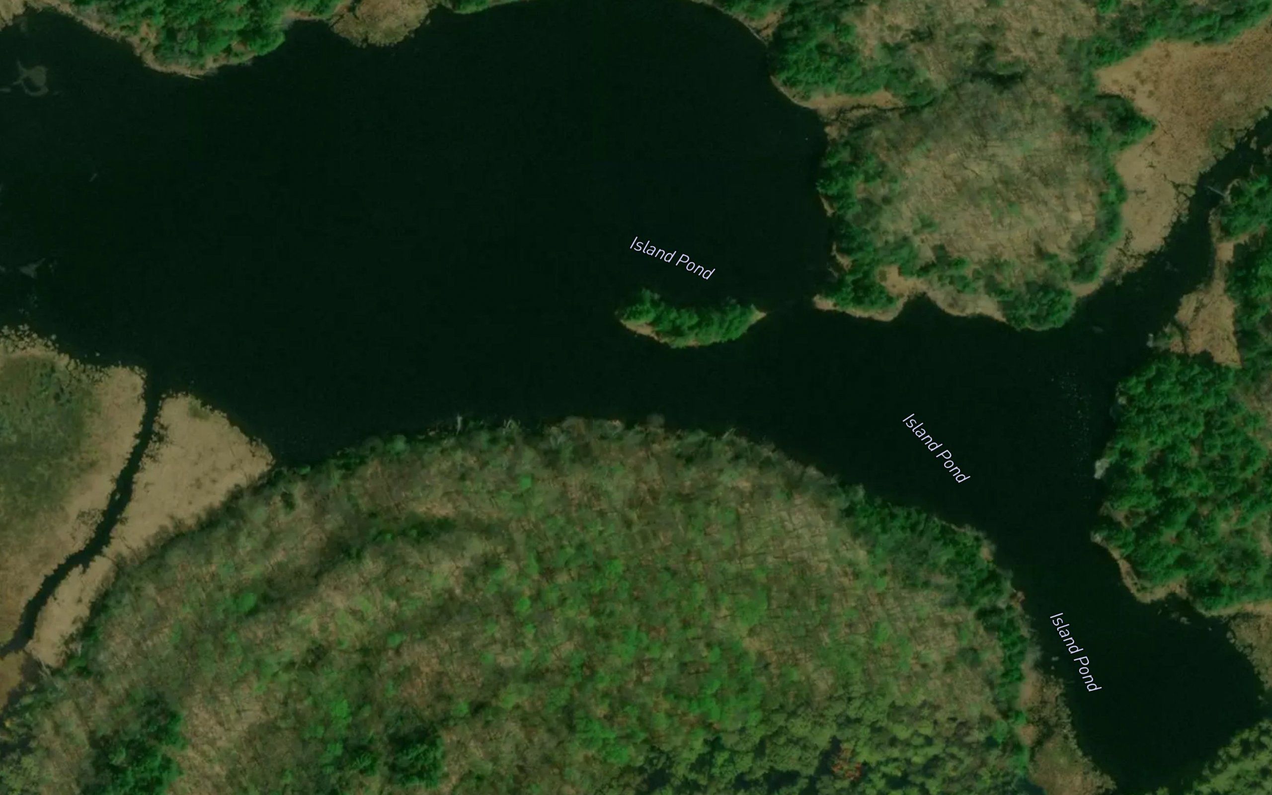 Island Pond