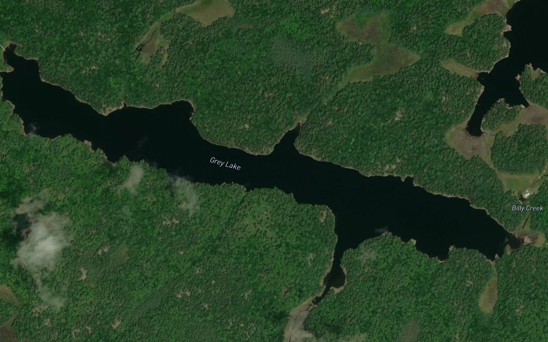 Satellite map of the Grey Lake