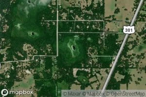 Mud Lake