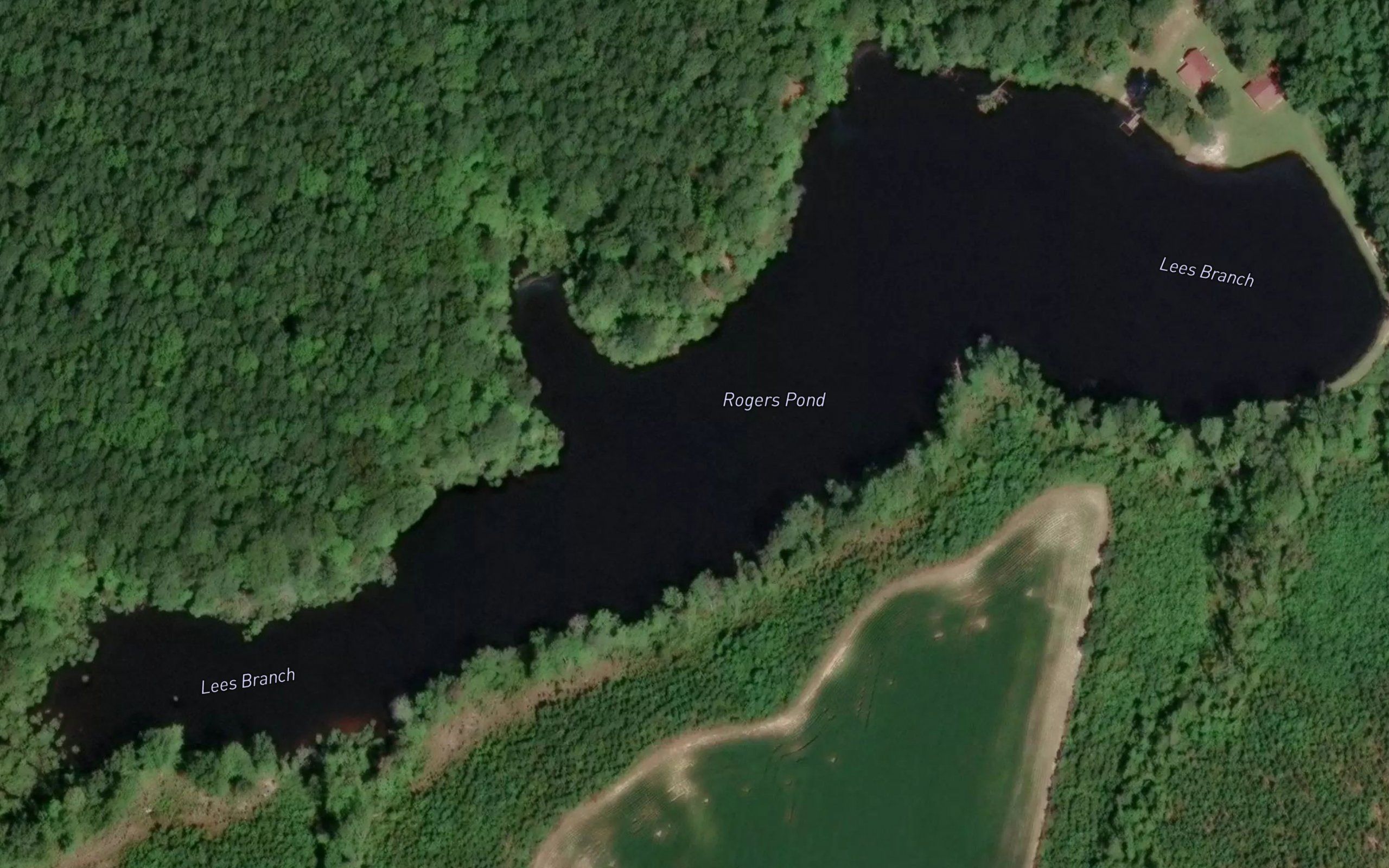 Rogers Pond