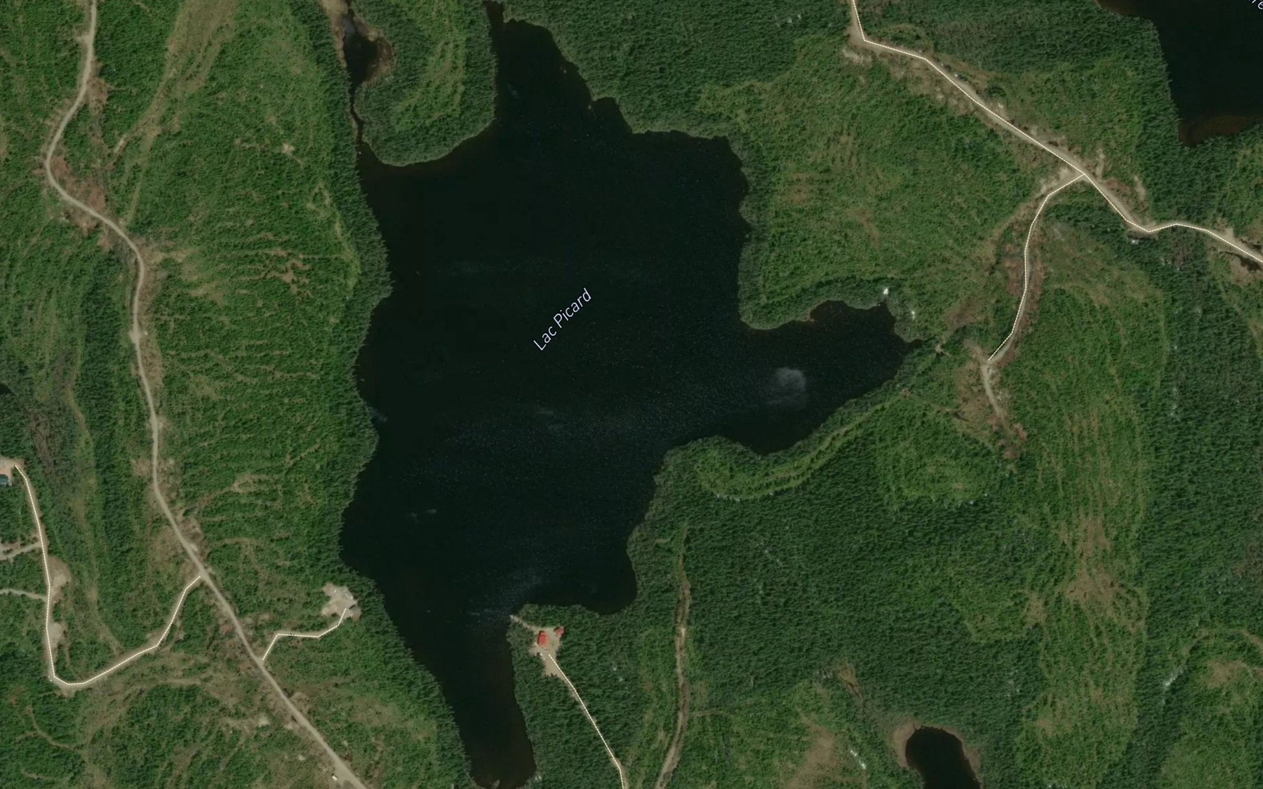Satellite map of the Lac Picard