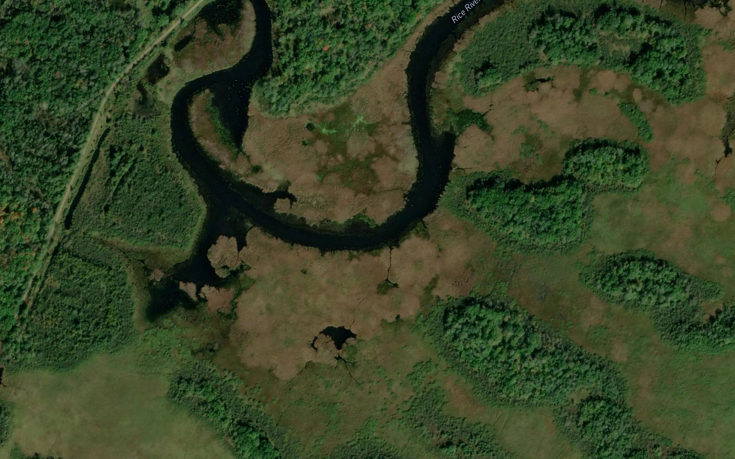 Rice River Pool