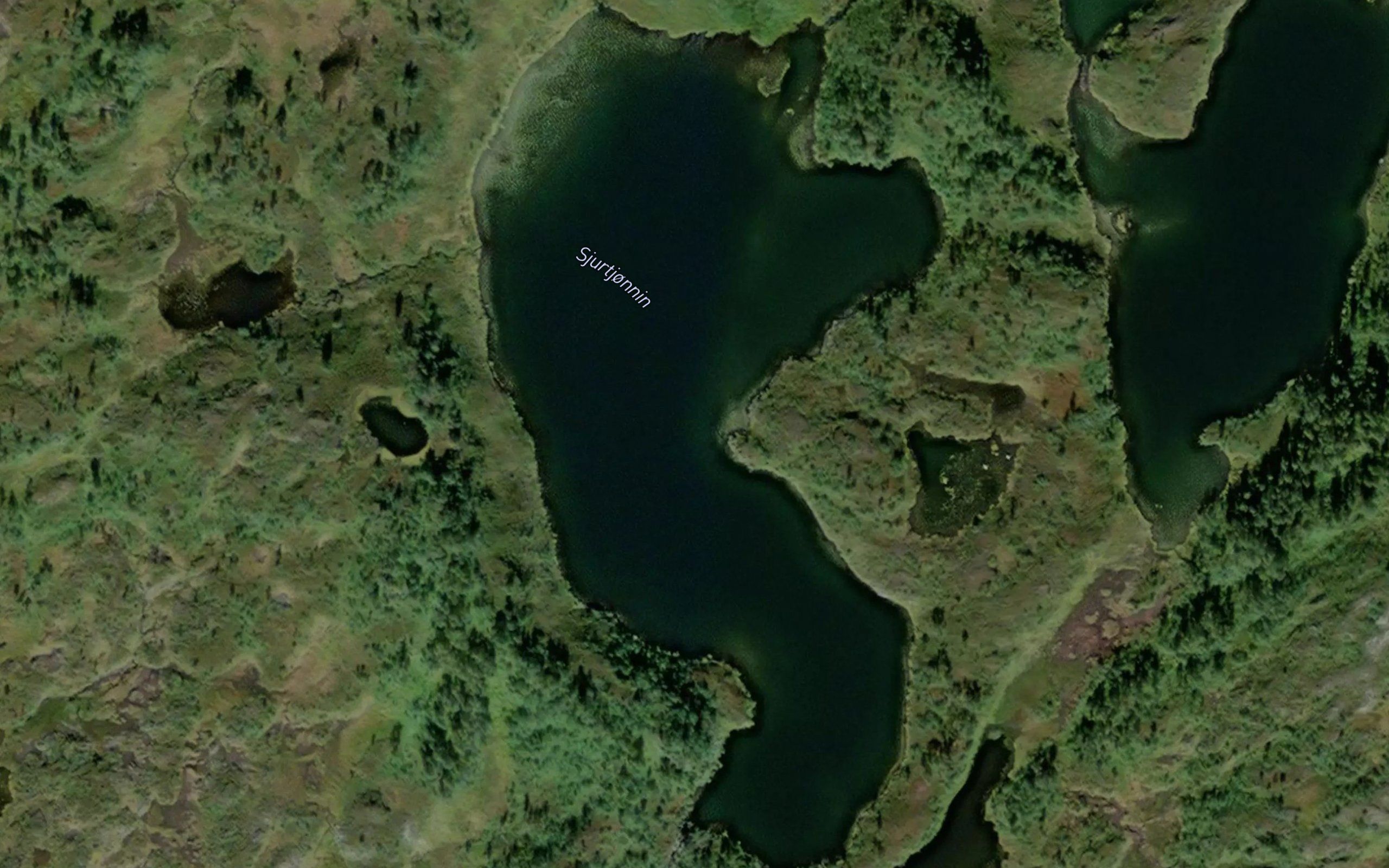 Sjurtjonnin
