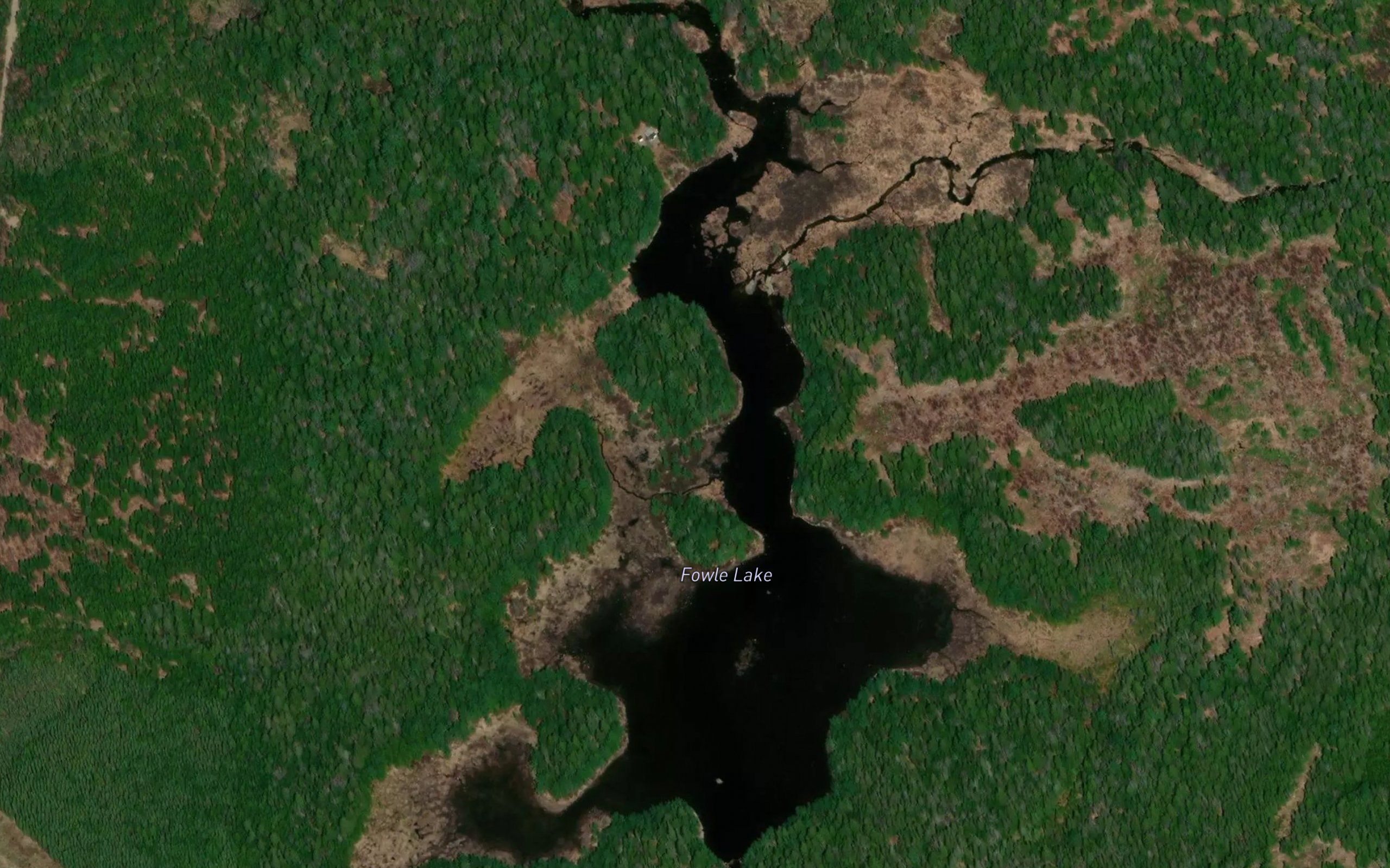 Fowle Lake