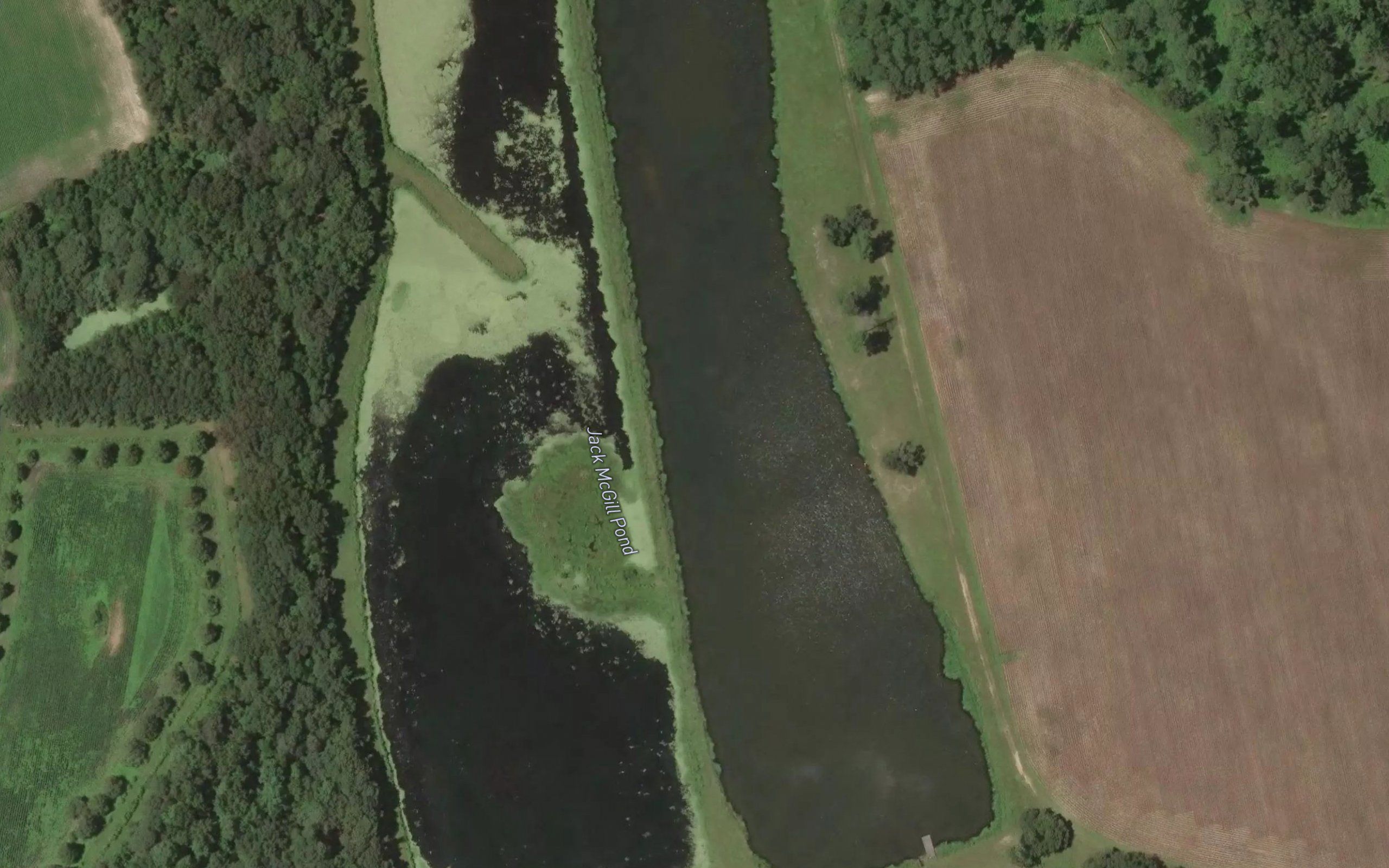 Jack McGill Pond