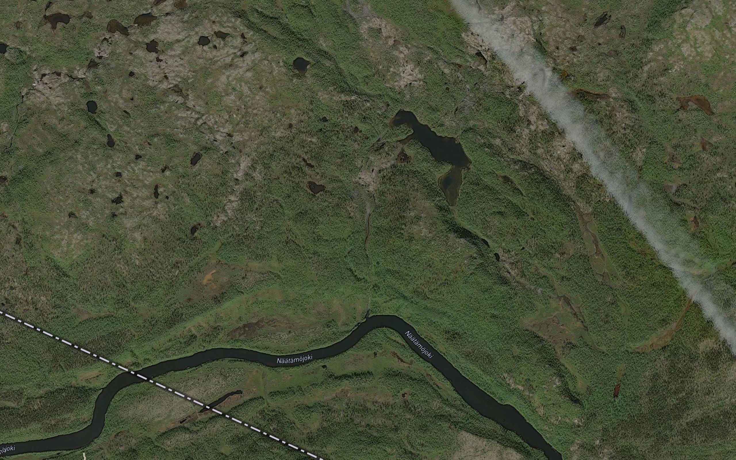 Haukijaervioja