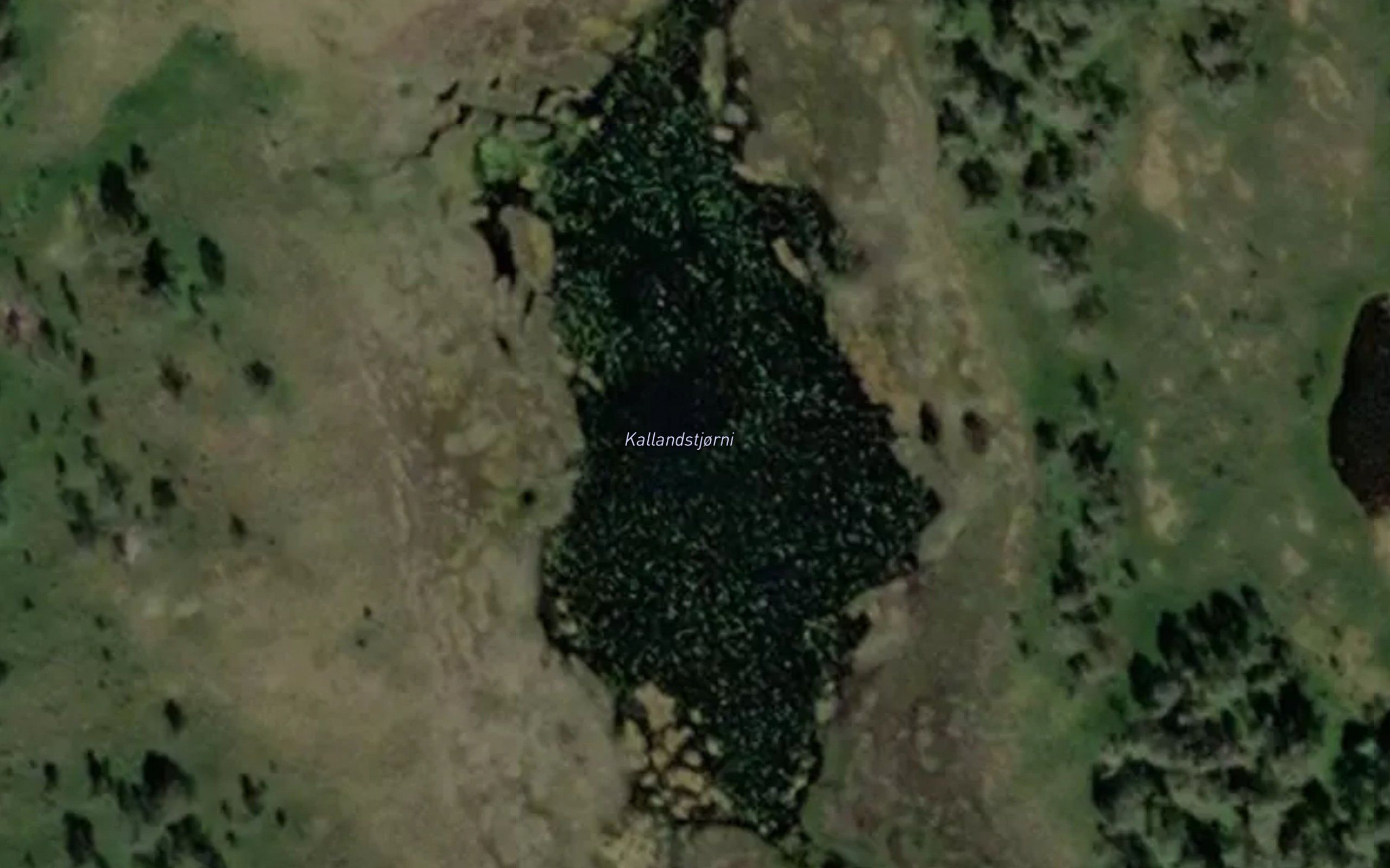 Kallandstjorni