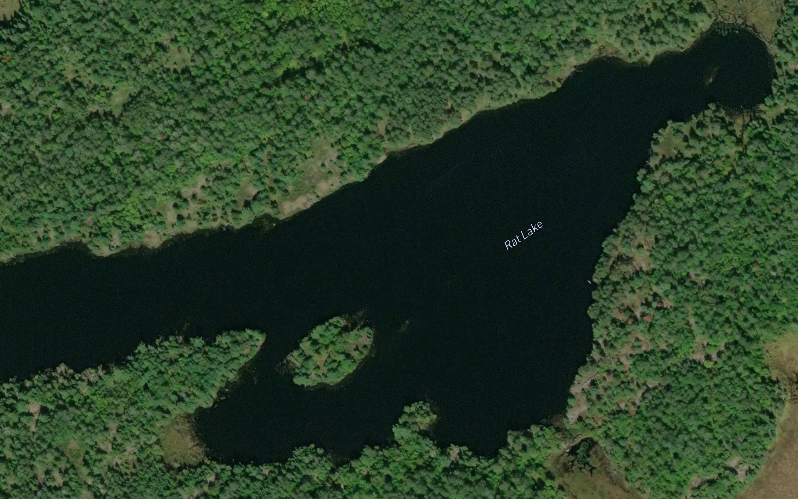 Rat Lake
