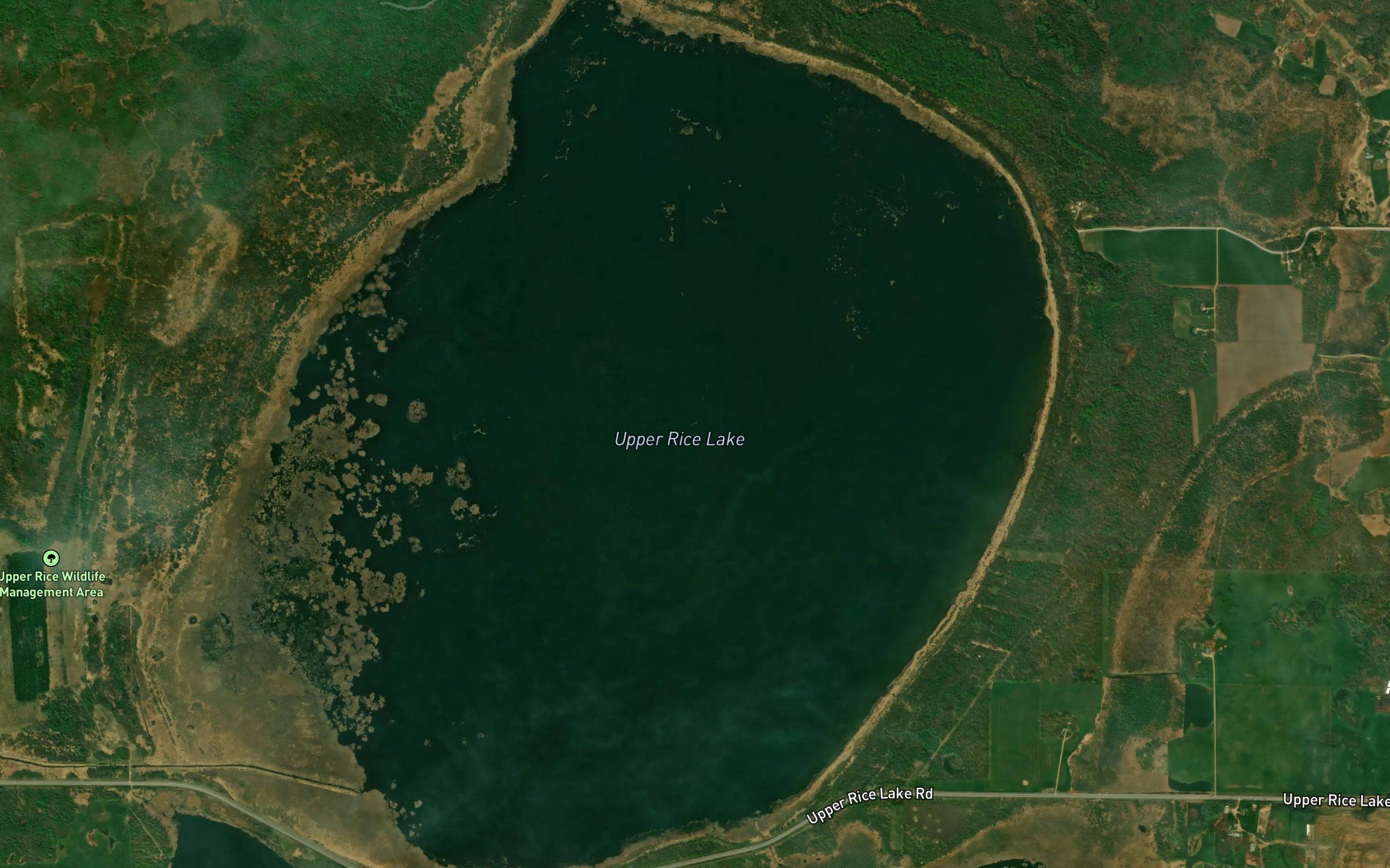Upper Rice Lake