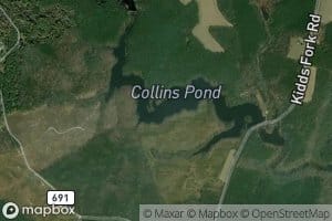 Collins Pond