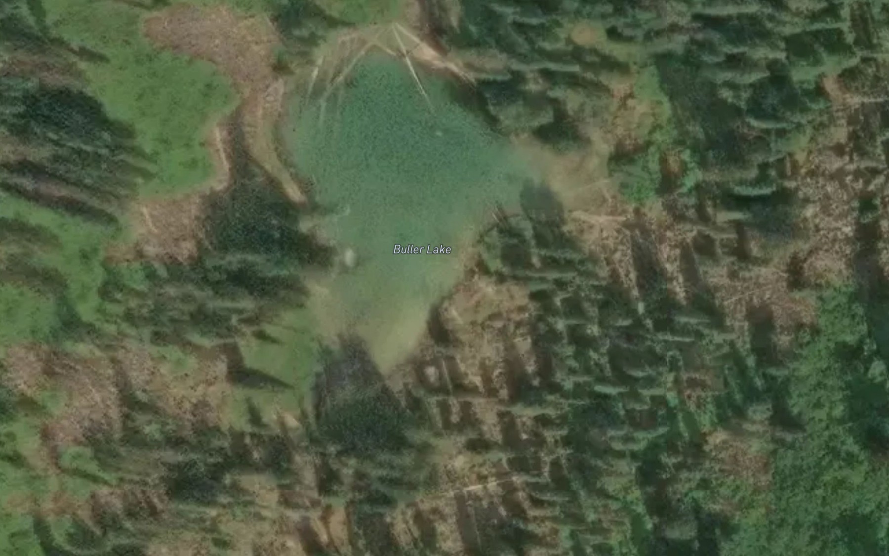 Satellite map of the Buller Lake