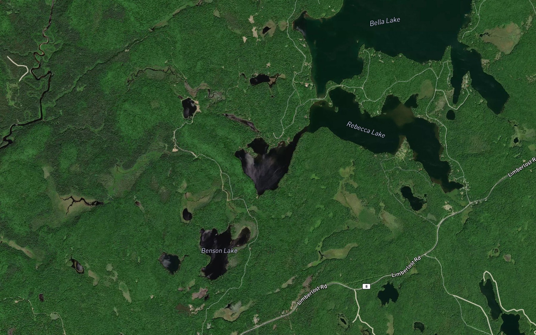 Satellite map of the Hutcheson's Bay