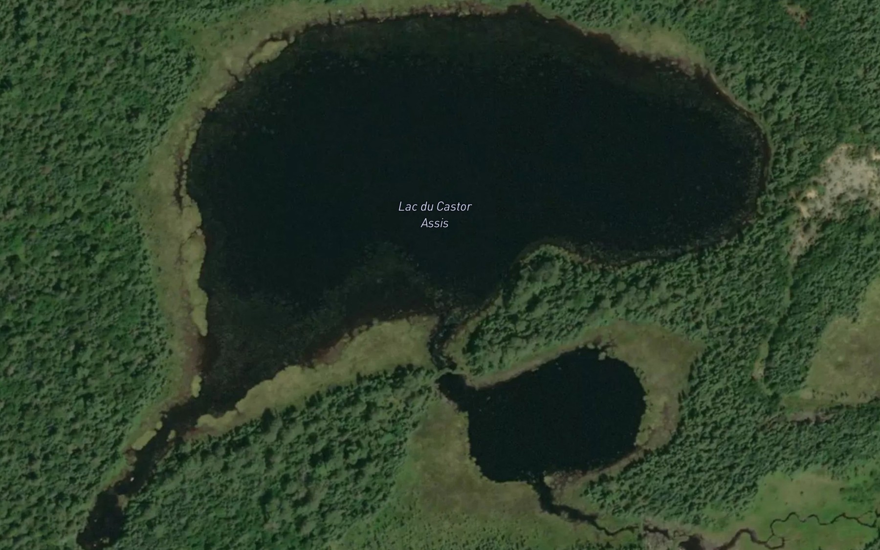 Satellite map of the Lac du Castor Assis