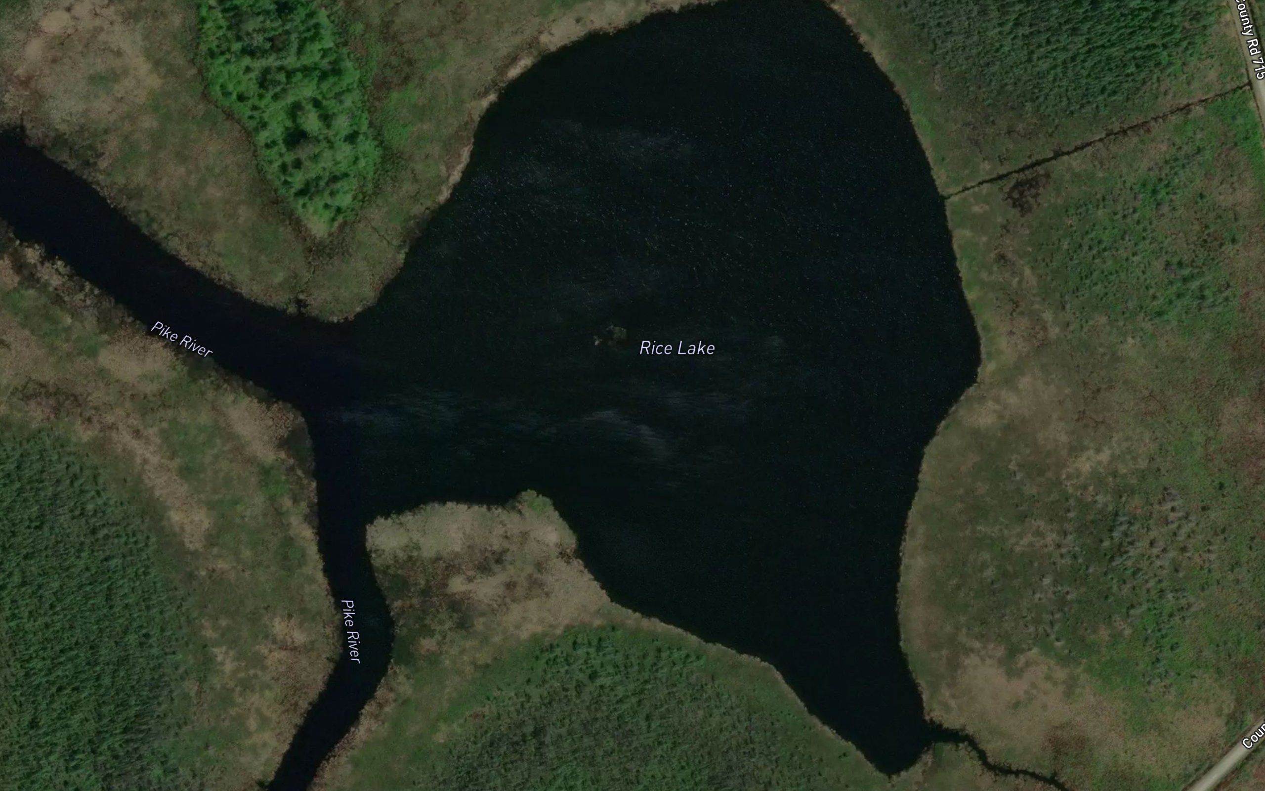 Rice Lake