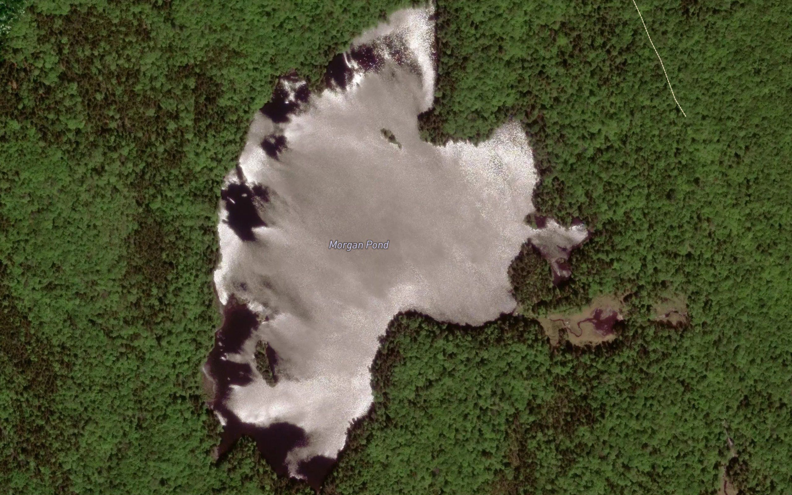 Morgan Pond