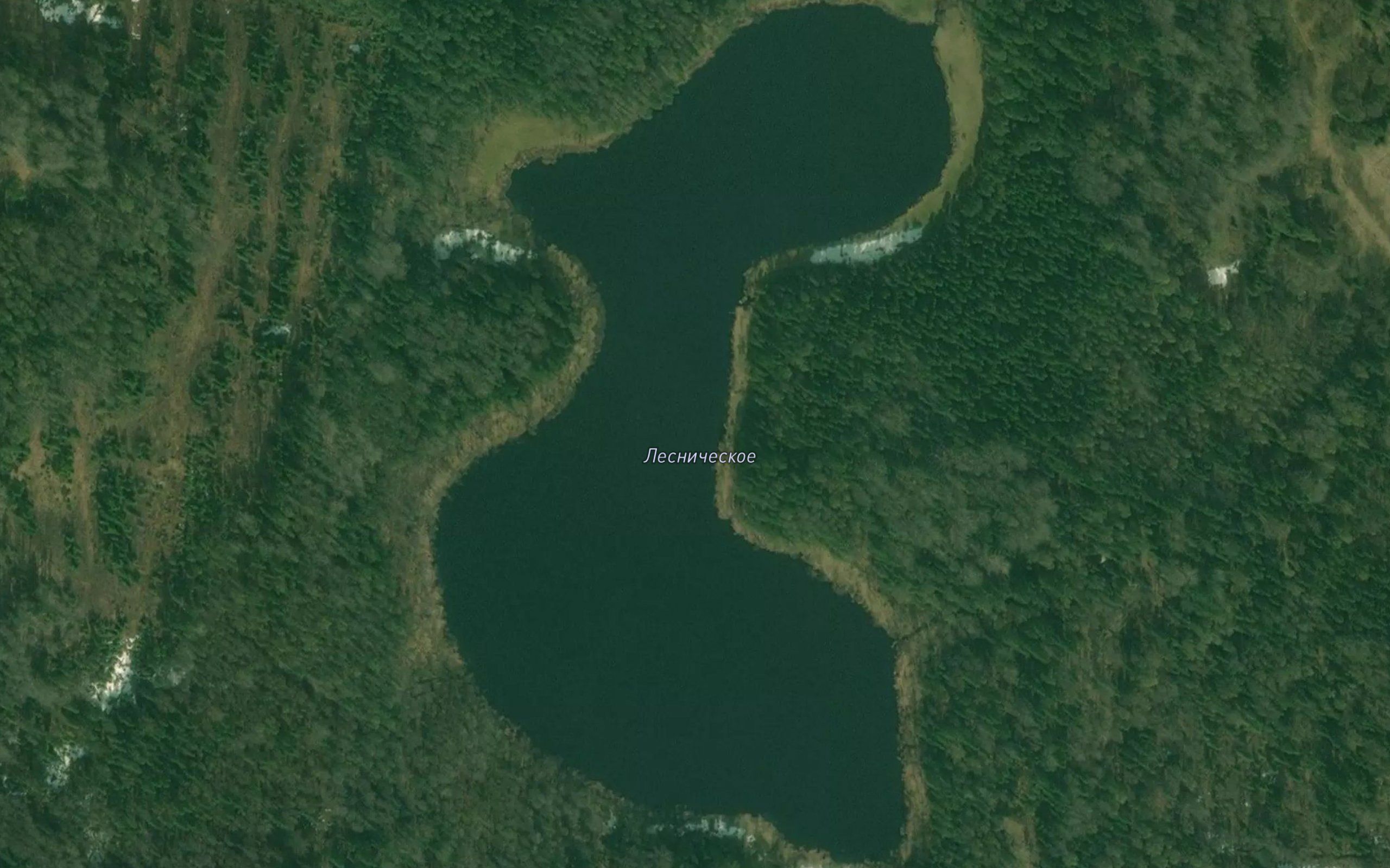 Ozero Lesnicheskoye