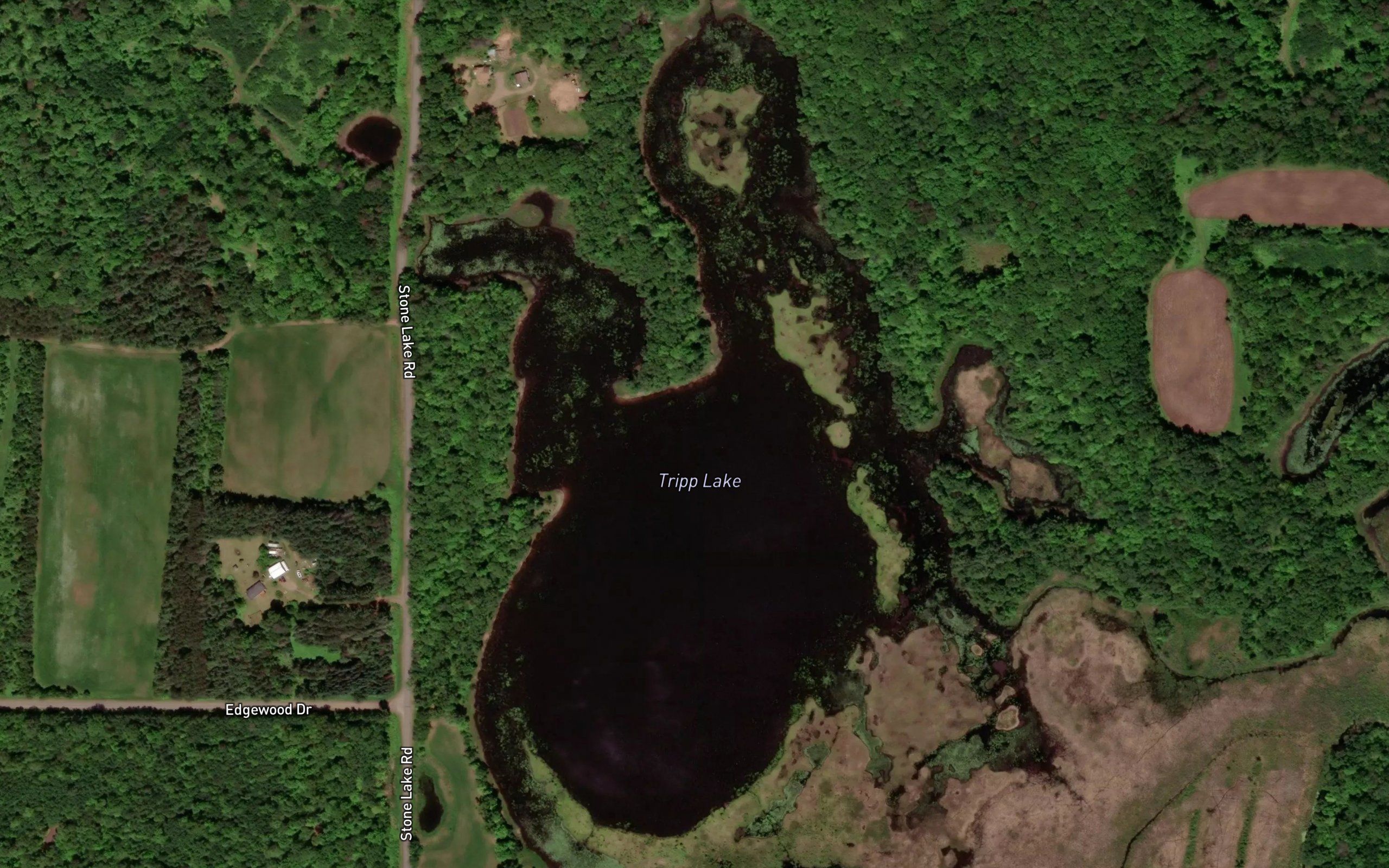 Tripp Lake