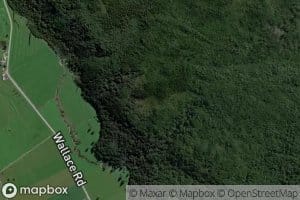 Beehive Creek