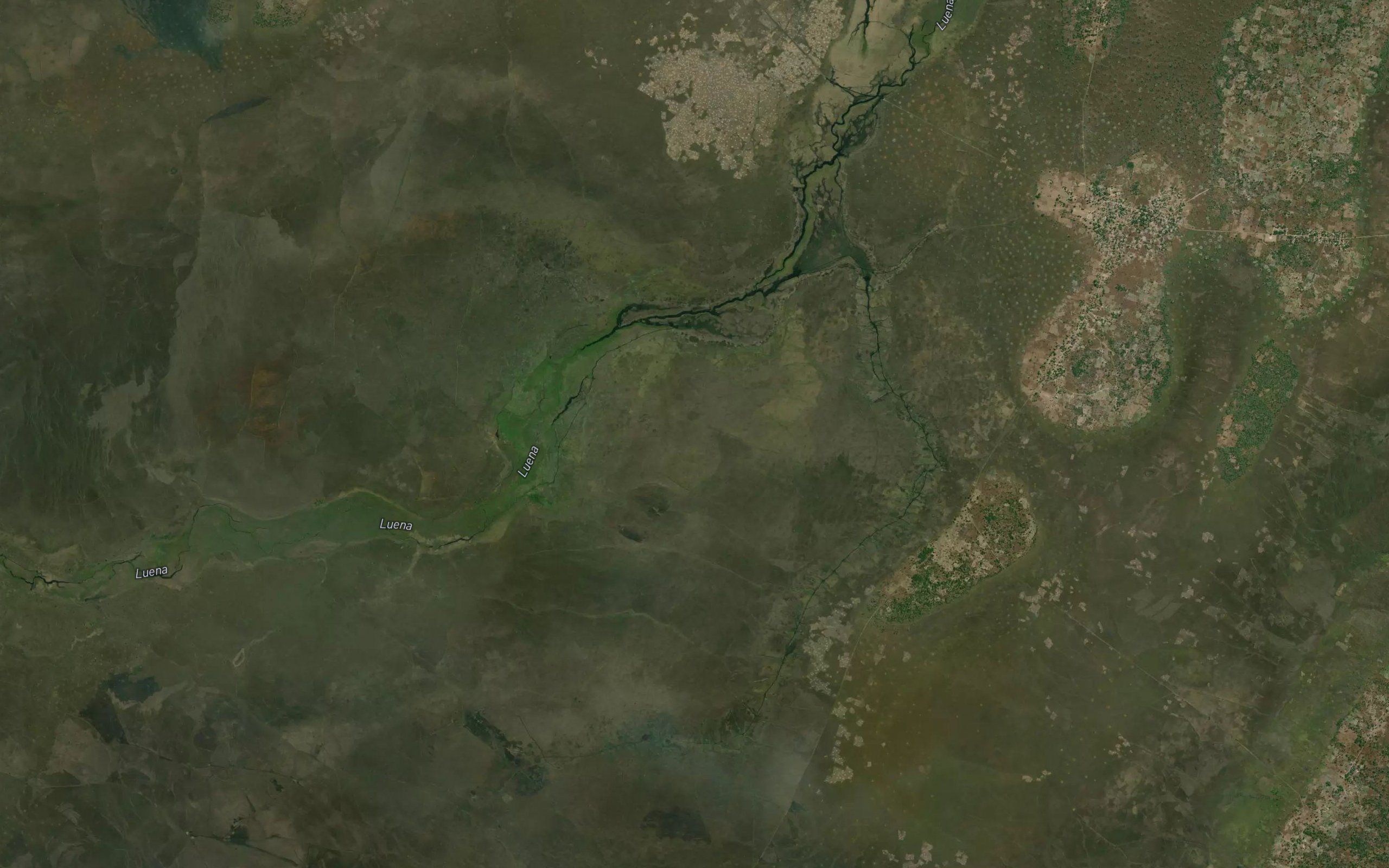 Mpupo