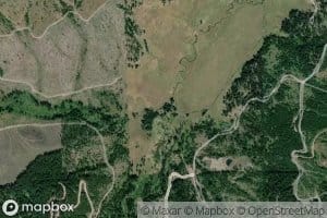 North Fork Tyson Creek