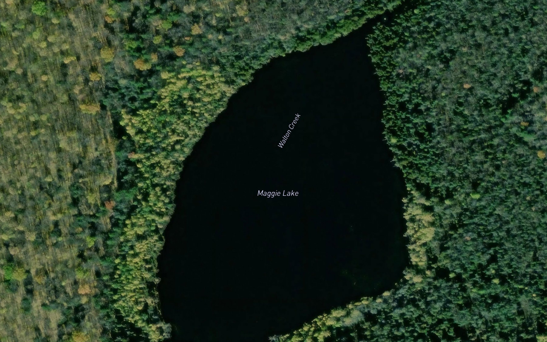 Satellite map of the Maggie Lake