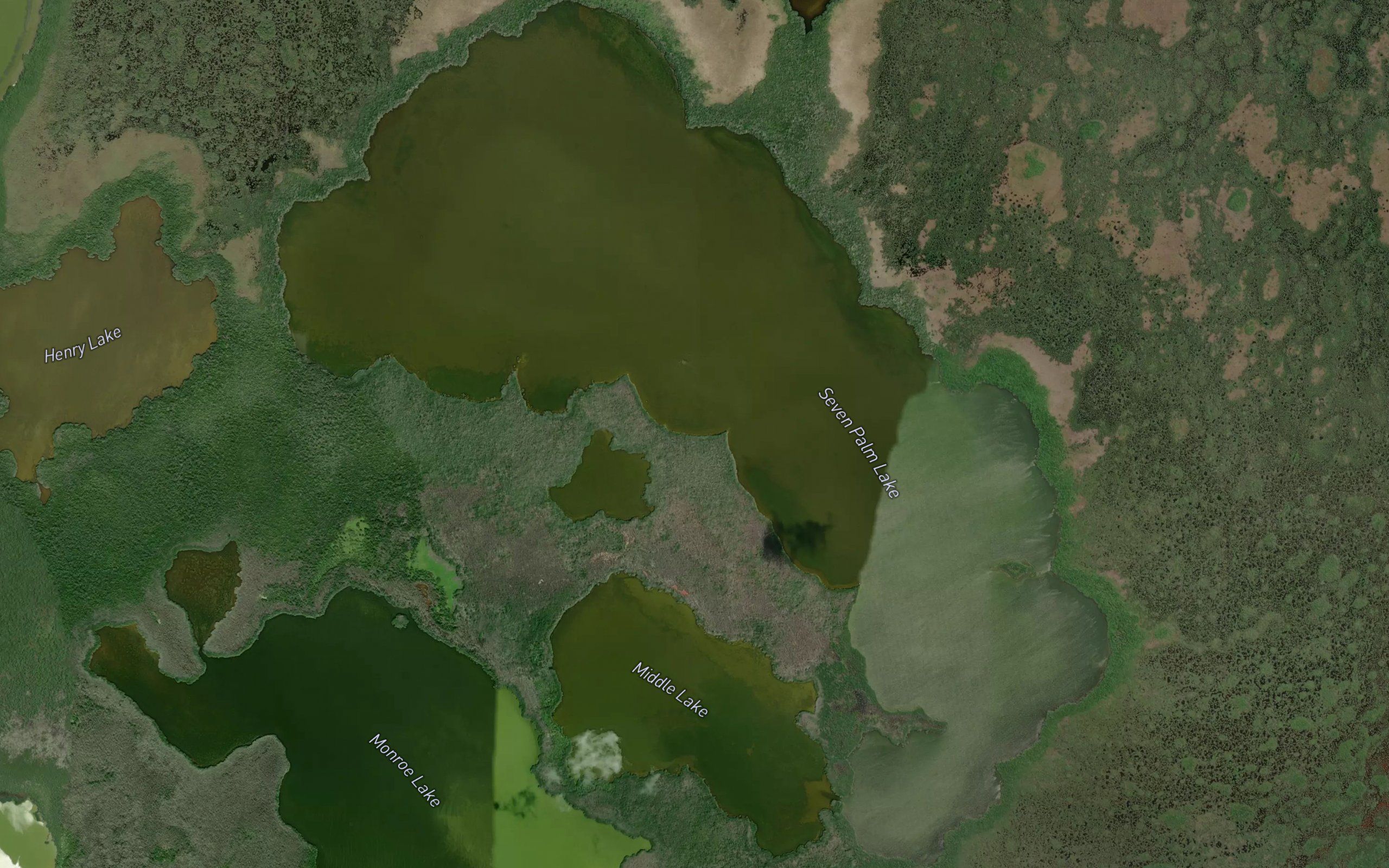 Seven Palm Lake