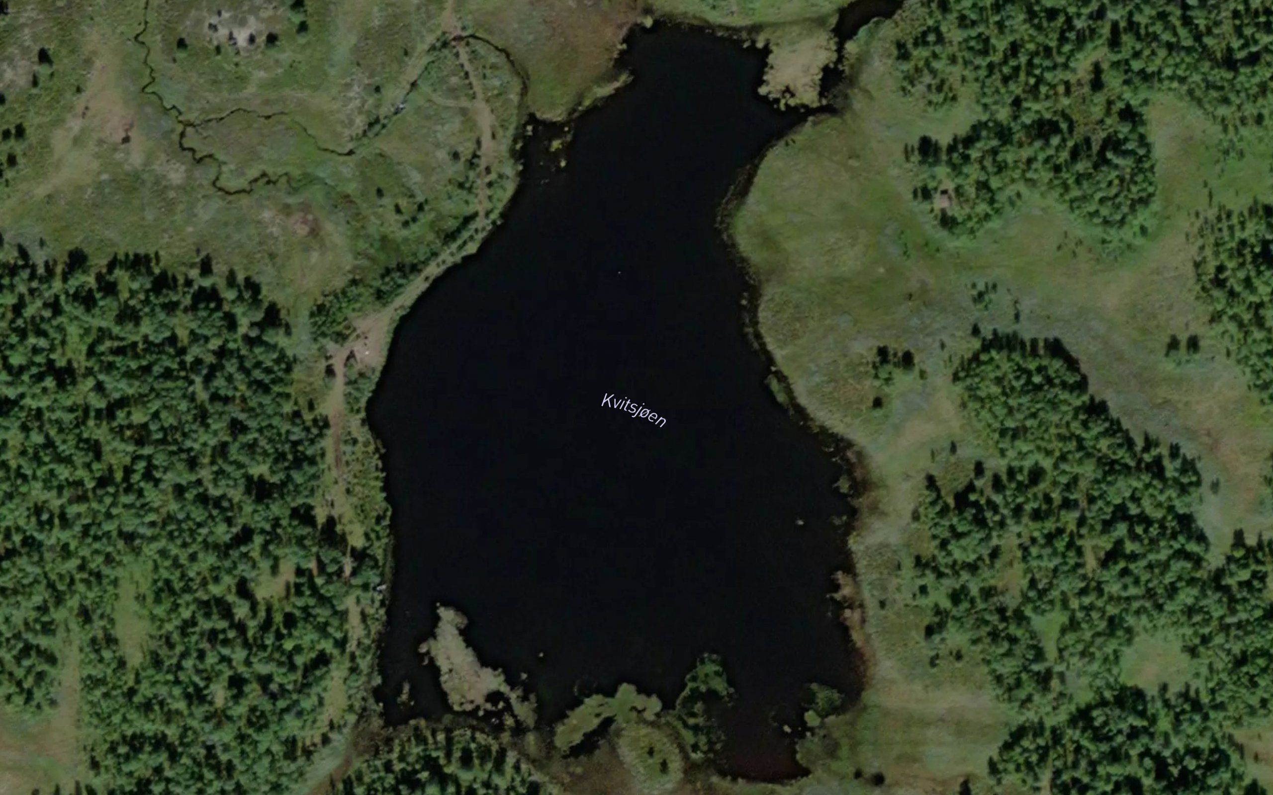 Kvitsjoen