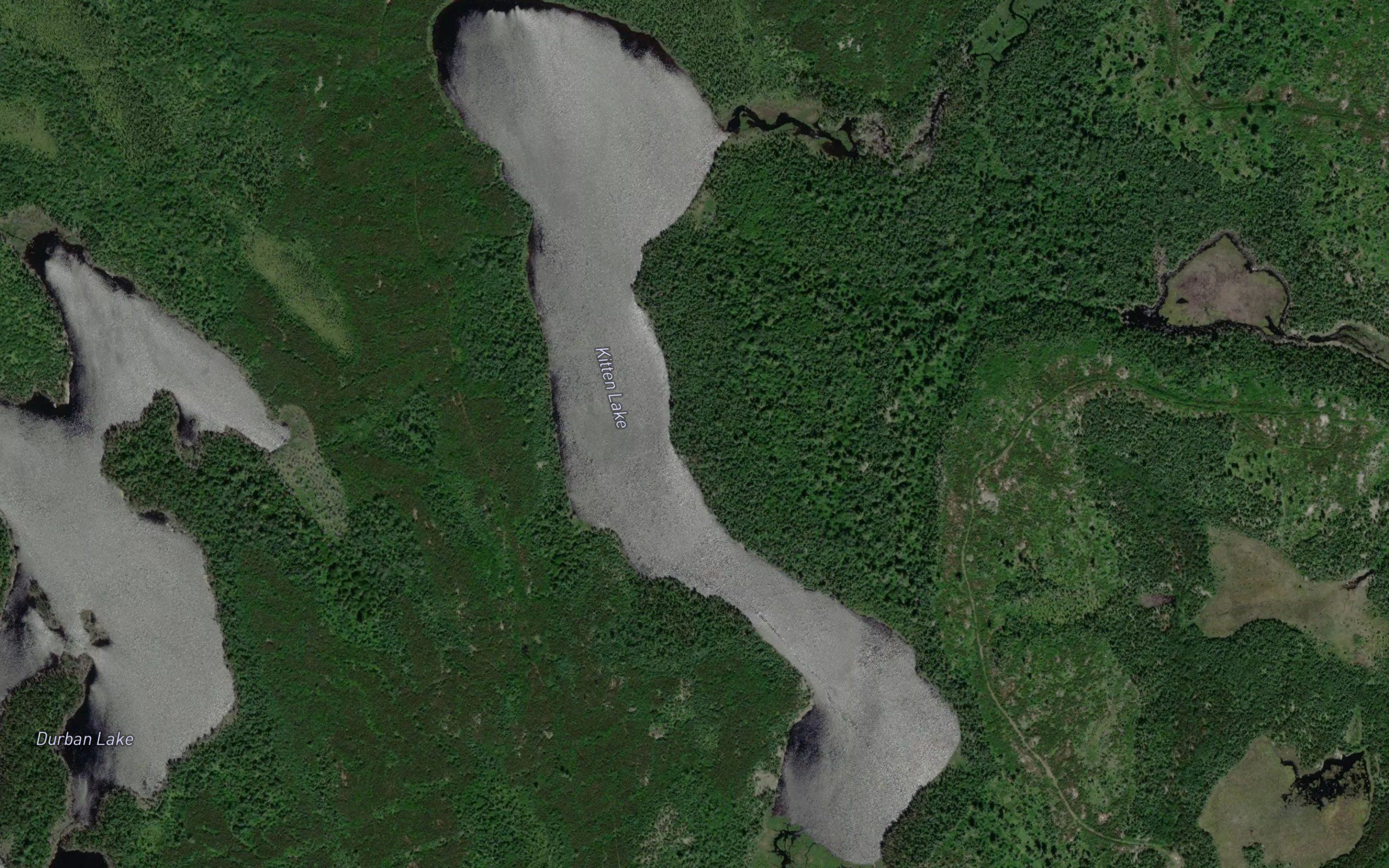 Kitten Lake