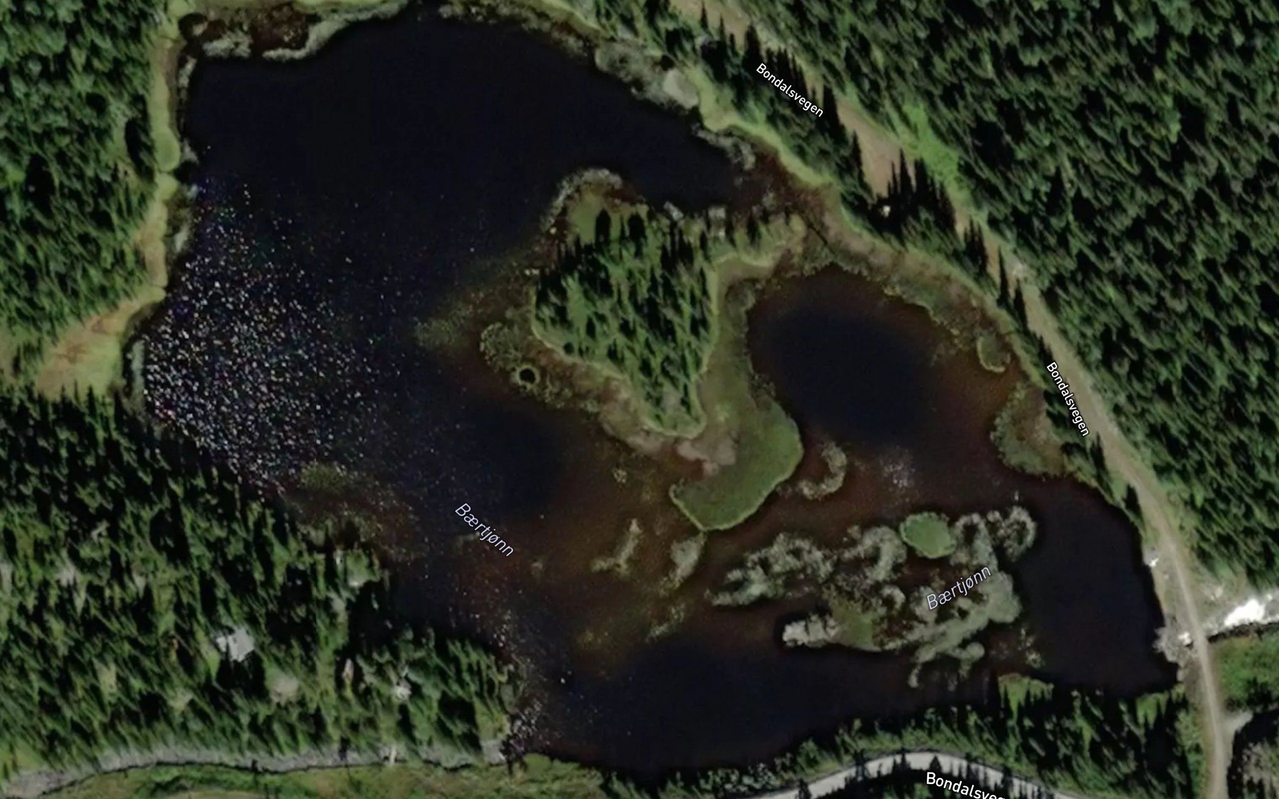 Baertjorn