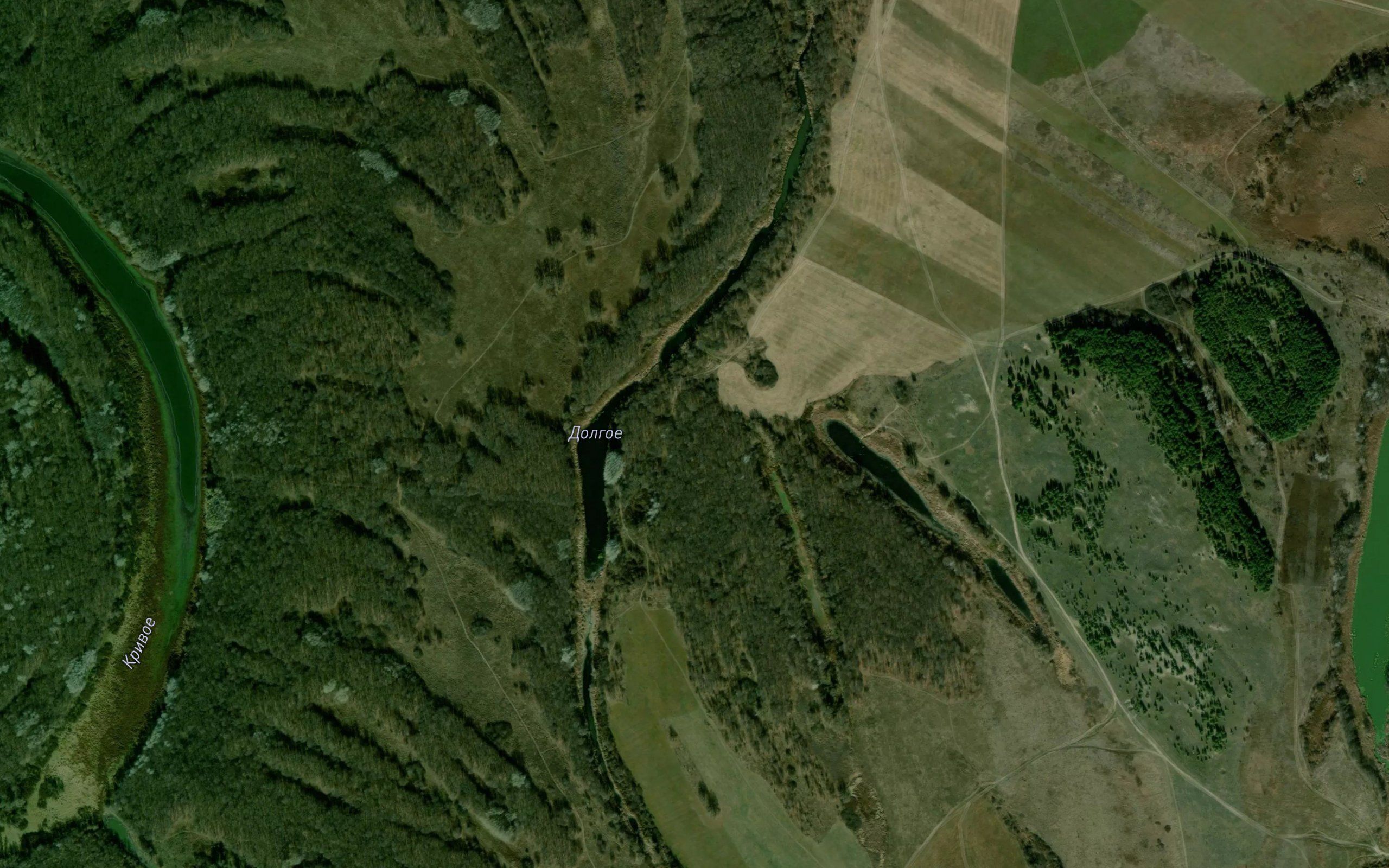 Ozero Afanas'yevskoye