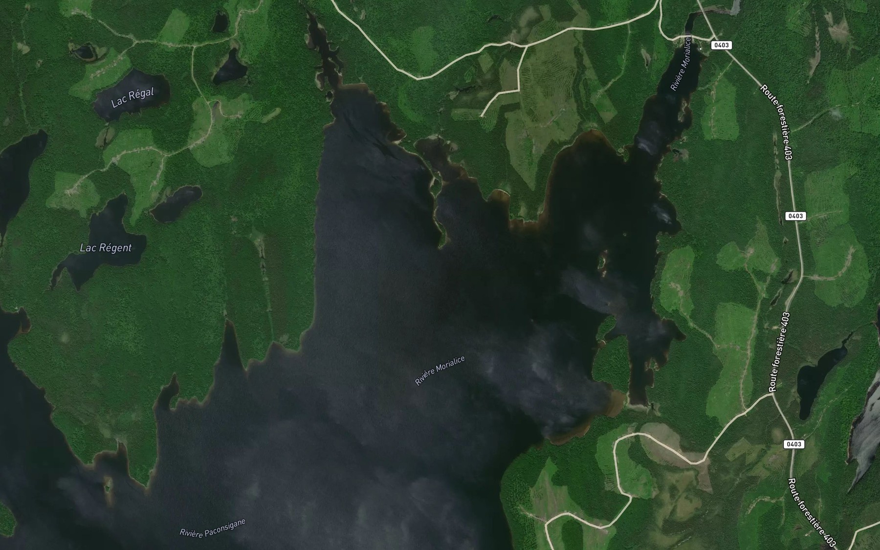 Satellite map of the Baie Gavin