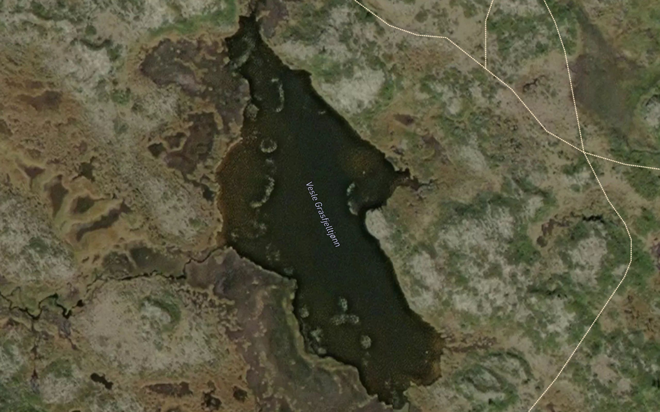 Vesle Grasfjelltjonn