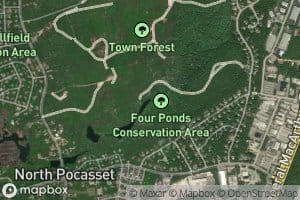 Upper Pond
