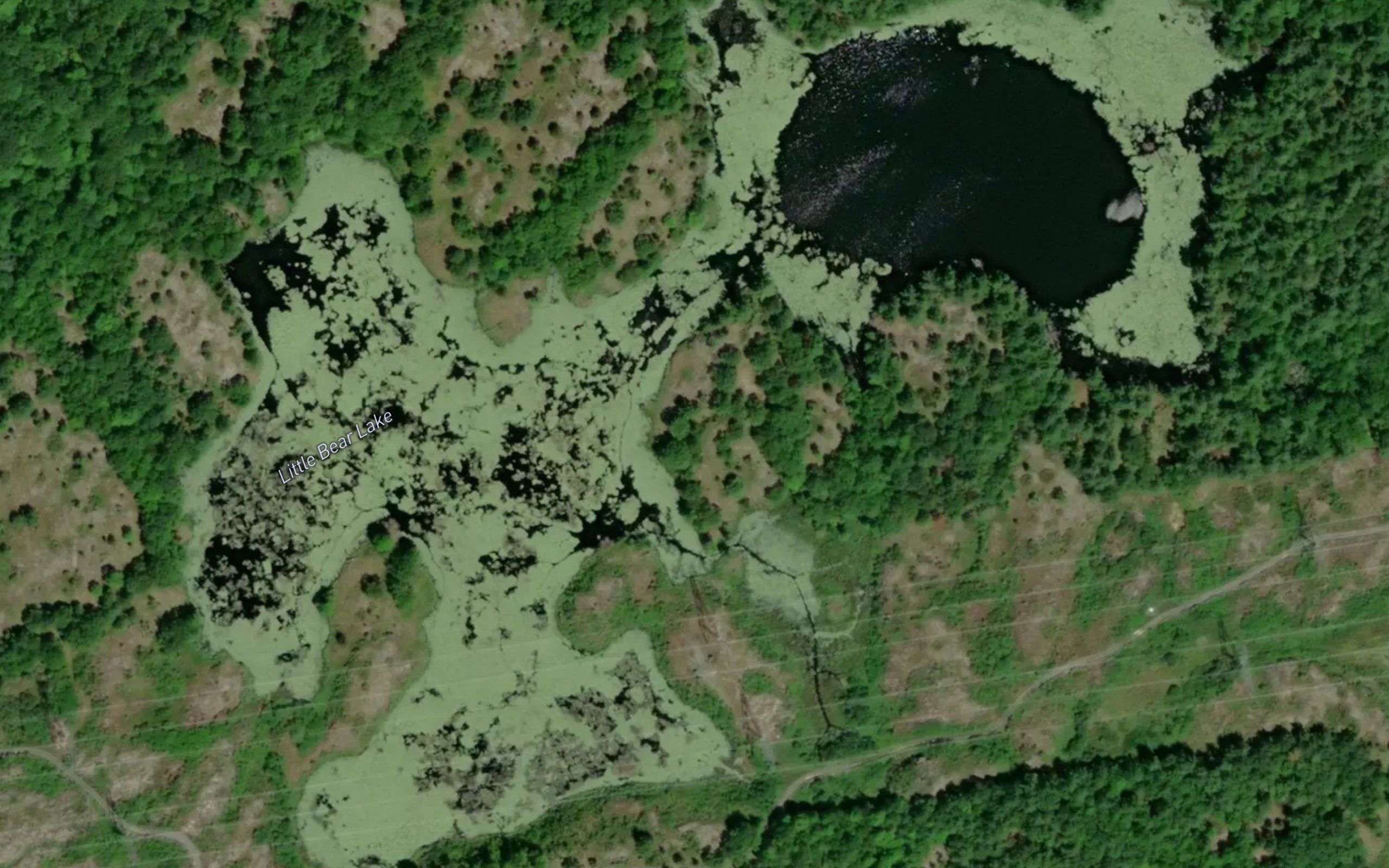 Little Bear Lake