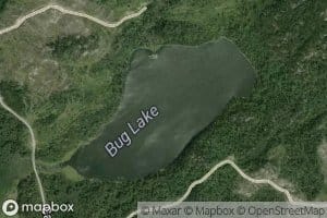 Bug Lake