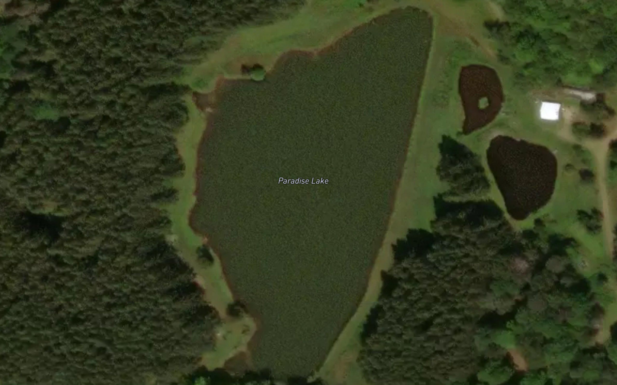 Paradise Lake